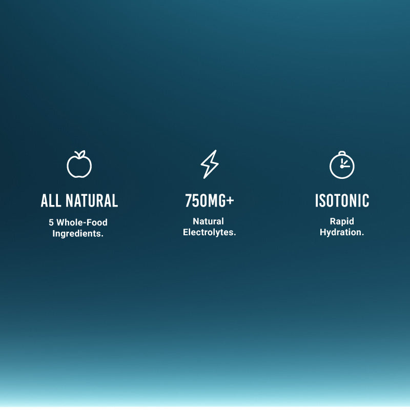 ORANGE SLICE (6 pack)